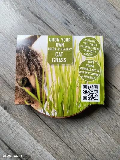 Набір для вирощування котячої трави Staro Nature's Finest, 15 г, з теракотовим блюдцем Staro Nature's Finest